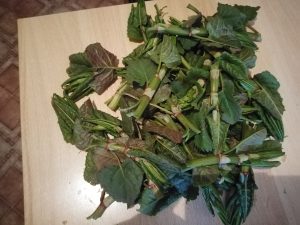 IMG_20190409_182740