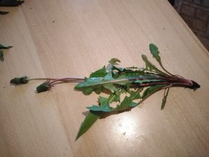 IMG_20190409_183003
