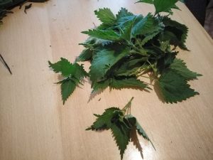 IMG_20190409_183038
