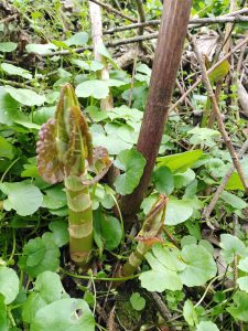 IMG_20210416_161405